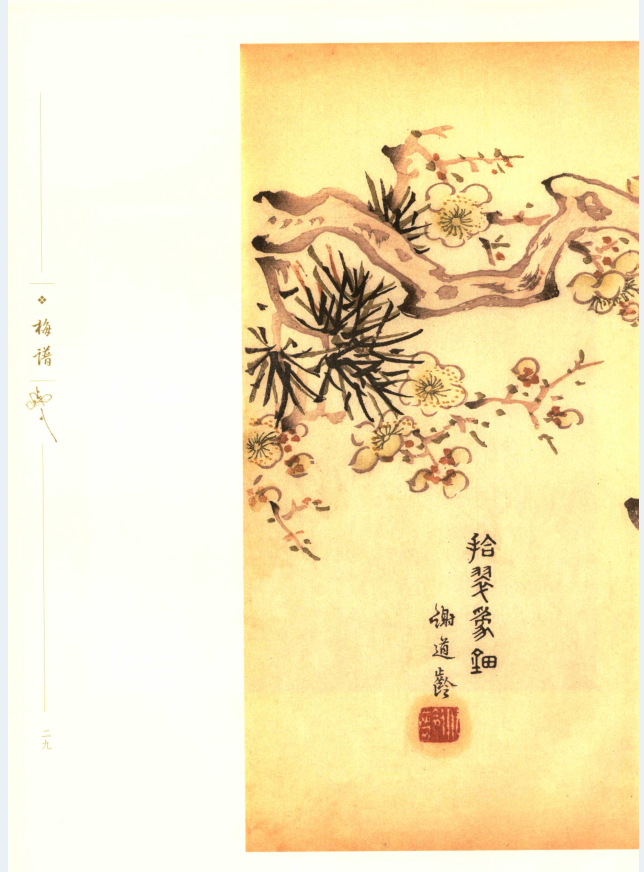 国家图书馆特藏精品 十竹斋书画谱（全8册）PDF电子版