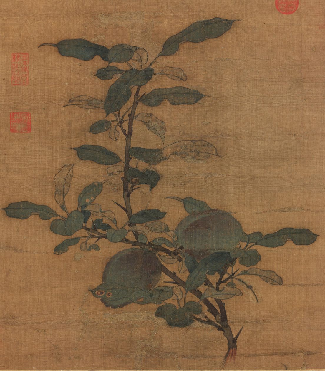 内容图片
