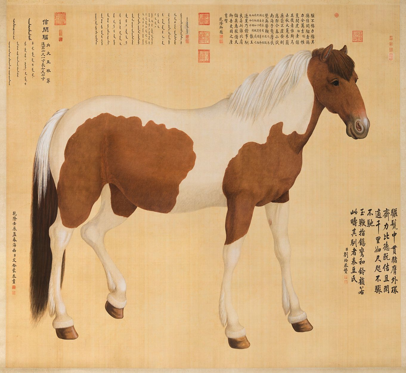 内容图片