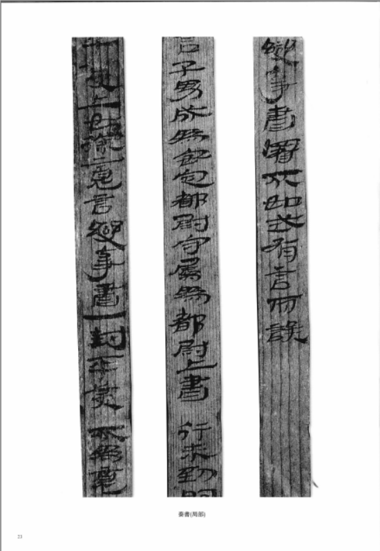 中国简牍书法系列 全套 8开共21本(包括第一辑11册,第二辑10册,一版一印3千册,铜版彩色)高清电子版