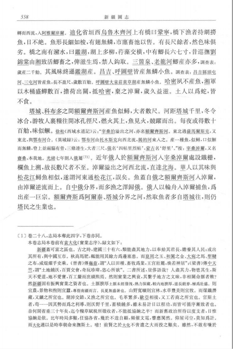 内容图片