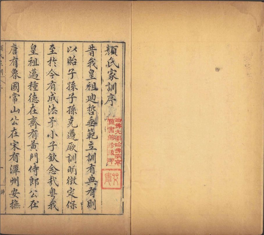 内容图片